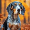 Blue English Coonhound Diamond Painting