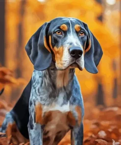 Blue English Coonhound Diamond Painting