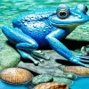 Blue Frog Diamond Painting