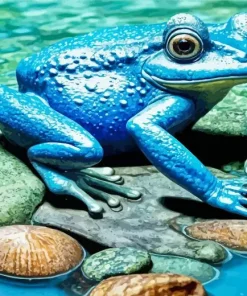 Blue Frog Diamond Painting