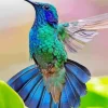 Blue Green Hummingbird Diamond Painting