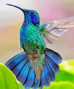 Blue Green Hummingbird Diamond Painting