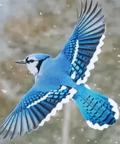 Blue Jay Bird Flying Diamond Painting
