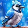 Blue Jay Under Rain Diamond Painting