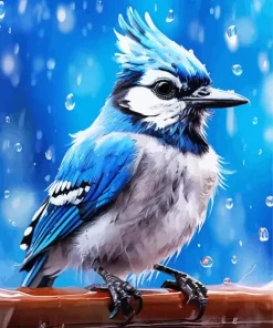 Blue Jay Under Rain Diamond Painting