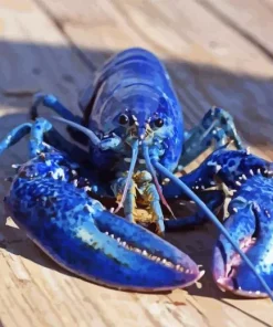 Blue Lobster Diamond Painting