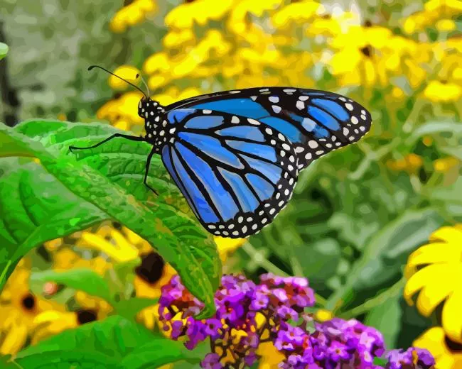blue monarch butterfly Diamond By Numbers Blue Monarch Butterfly Diamond Painting