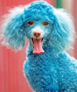 Blue Poodle Dog Diamond Painting