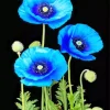 Blue Poppies Diamond Painting