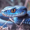 Blue Racer Snake Diamond Painting