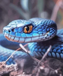 Blue Racer Snake Diamond Painting