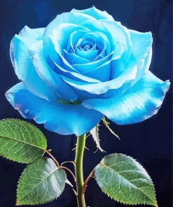Blue Rose Diamond Painting