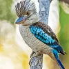 Blue Winged Kookaburra Bird Diamond Painting