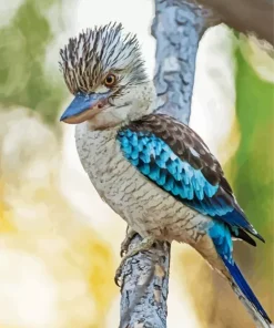 Blue Winged Kookaburra Bird Diamond Painting