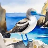 Booby Bird Art Diamond Painting