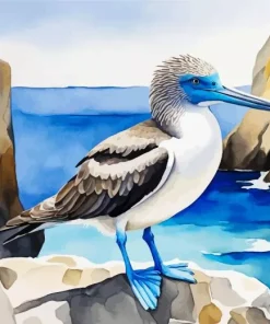 Booby Bird Art Diamond Painting