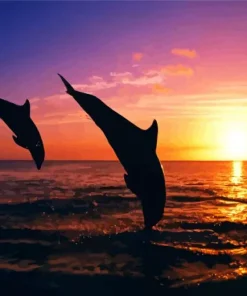 Bottlenose Dolphins Silhouette Diamond Painting