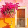 Bougainvillea Front Door Diamond Painting