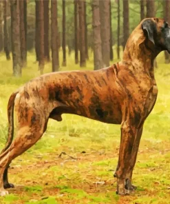 Brindle Dog Diamond Painting