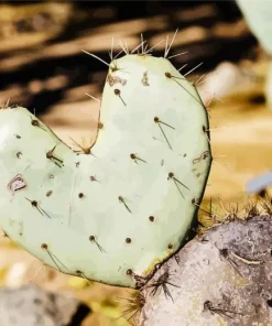 Cactus Heart Diamond Painting