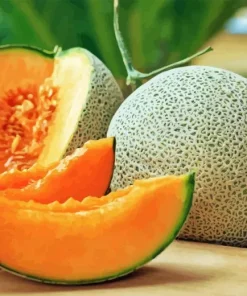 Cantaloupe Melon Diamond Painting