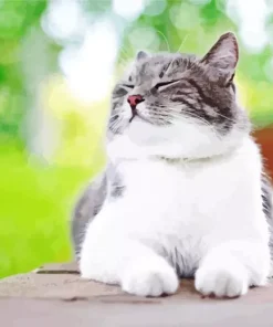 Cat Smiling Diamond Painting