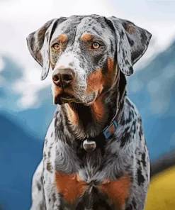 Catahoula Leopard Dog Diamond Painting