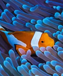 Clownfish Underwater Diamond Painting