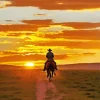 Cowboy Riding Into Sunset Diamond Painting