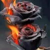 Dark Flaming Roses Diamond Painting