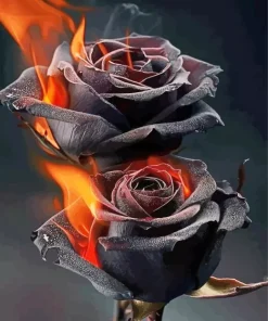 Dark Flaming Roses Diamond Painting
