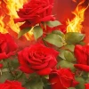 Flames Roses Diamond Painting