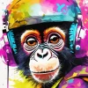 Funky Monkey Art Diamond Painting