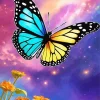 Galaxy Butterfly Illustration Diamond Painting