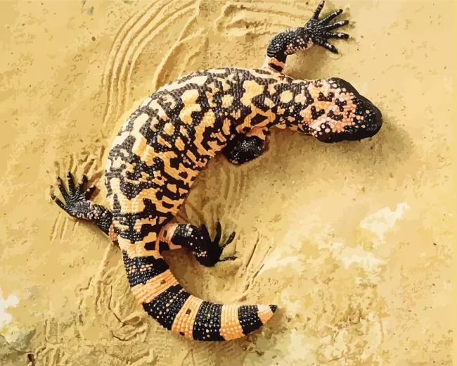 gila monster Diamond With Numbers Gila Monster Diamond Painting