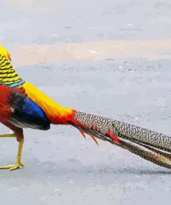 Golden Pheasant Diamond Painting