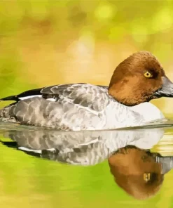 Goldeneye Duckling Art Diamond Painting
