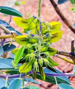 Green Birdflower Diamond Painting