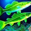 Green Fishes Diamond Painting