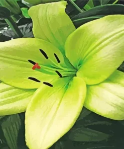 Green Lily Diamond Painting