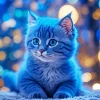 Grey Baby Cat With Blue Eyes Diamond Painting