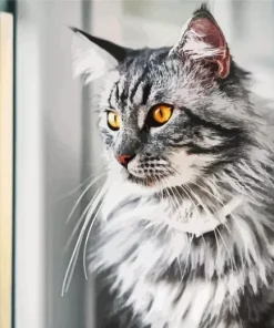Grey Cat With Orange Eyes Animal Diamond Painting