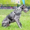 Grey Great Dane Speckled Diamond Painting