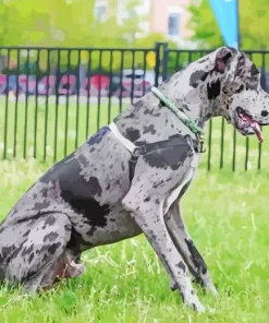 Grey Great Dane Speckled Diamond Painting