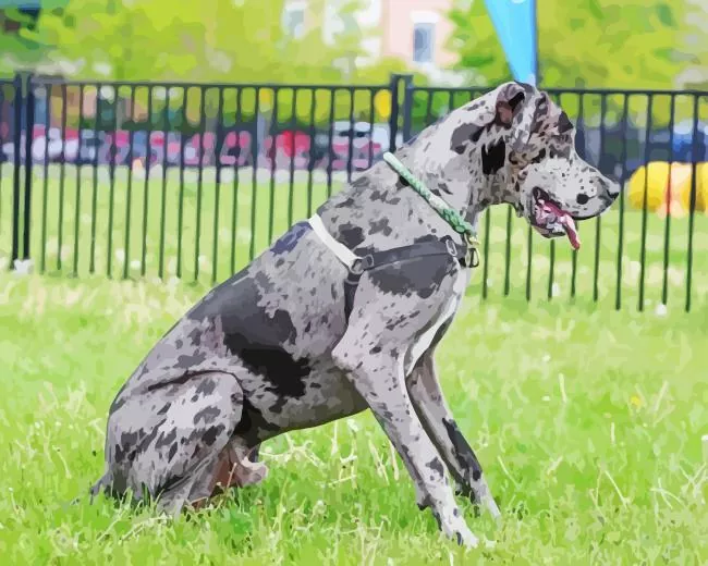 grey great dane speckled Diamond By Numbers Grey Great Dane Speckled Diamond Painting