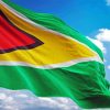 Guyana Flag Diamond Painting