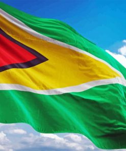 Guyana Flag Diamond Painting