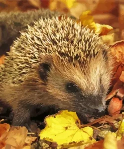 Hedgehog With Leaves Diamond Painting
