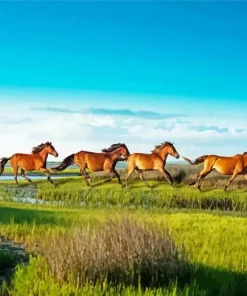 Herd Of Horses Diamond Painting