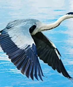 Heron Bird Flying Diamond Painting